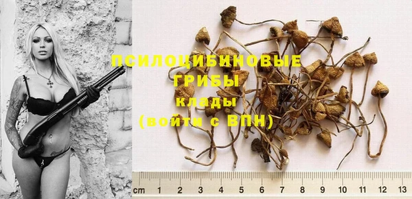 соль курить ск Вяземский