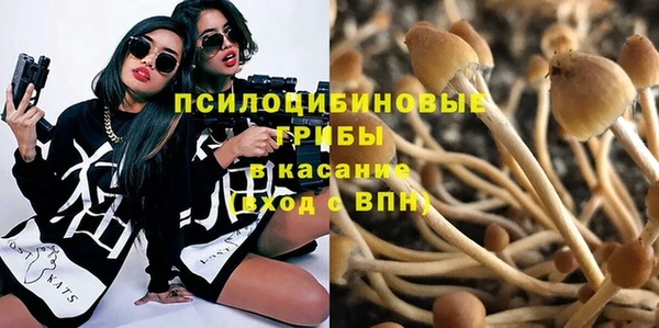соль курить ск Вяземский