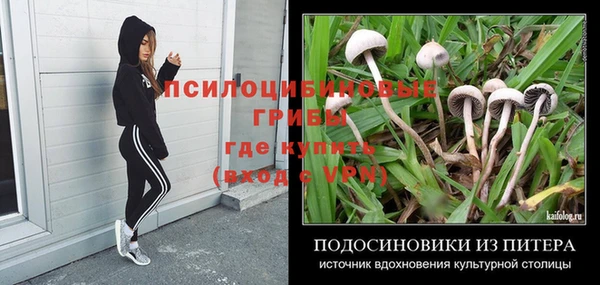 скорость Вязьма